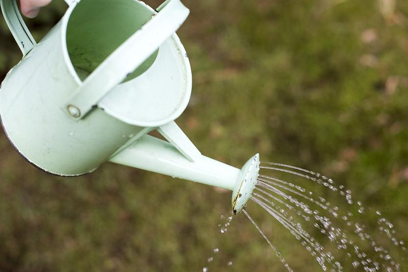 watering can with water sprinkling out